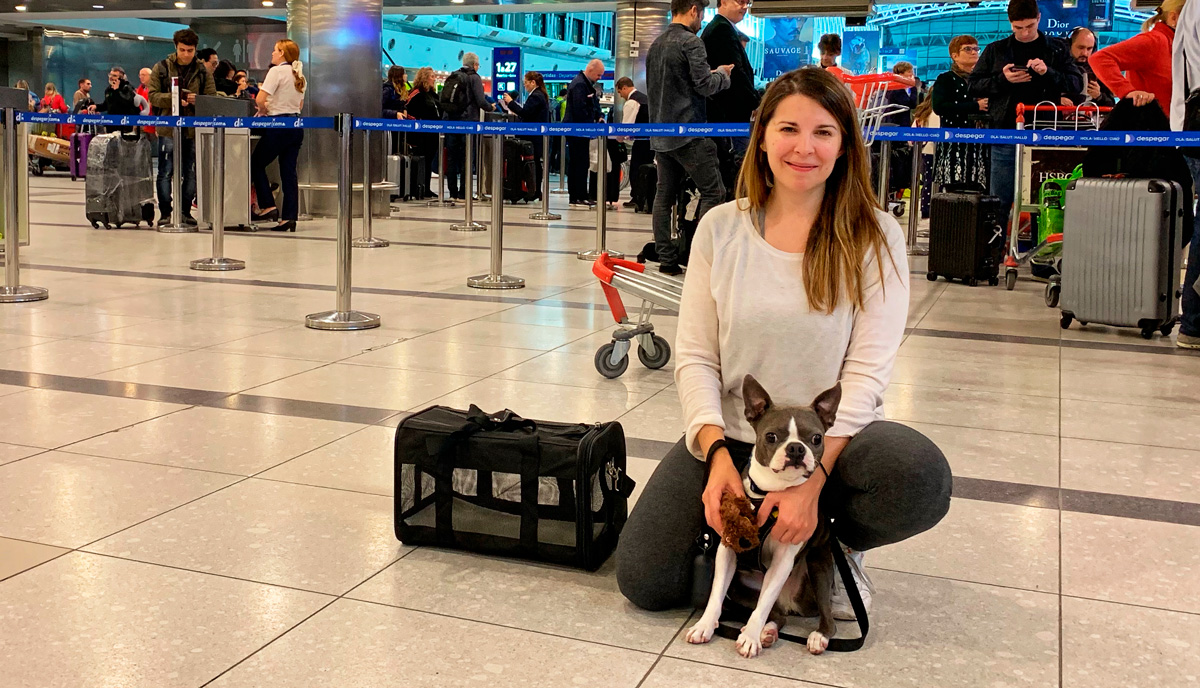 Trámites para viajar con tu perro de Argentina a España