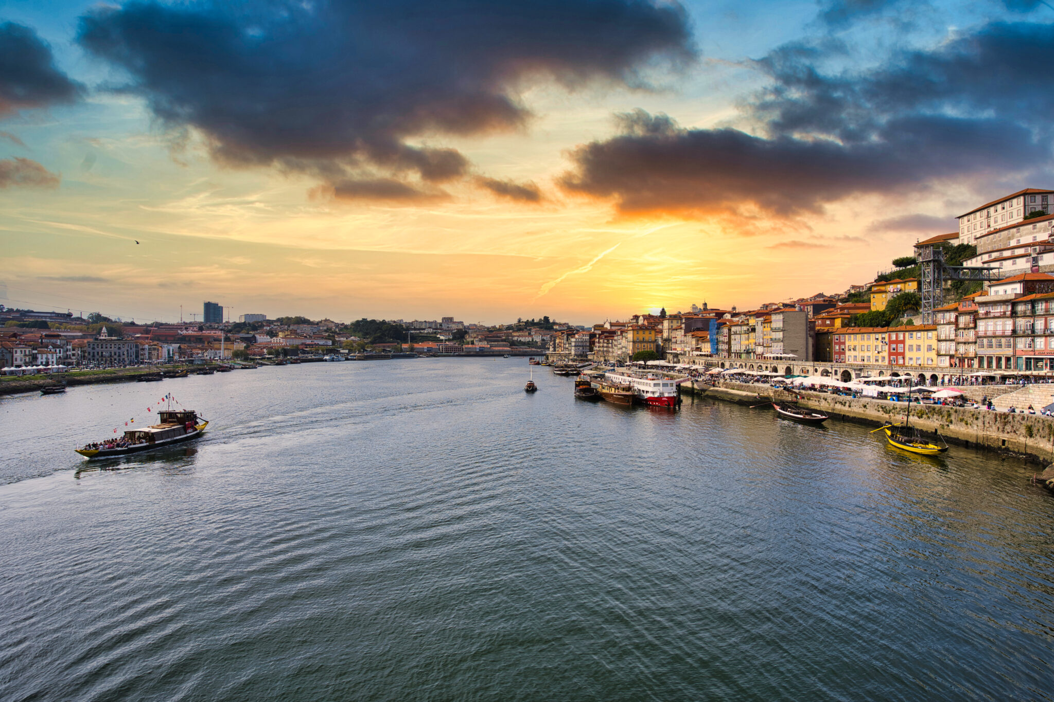 Qué hacer en Oporto en 2022: WOW Porto